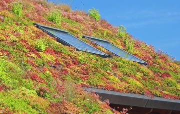 Ebberly Hill living roof systems