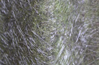 Ebberly Hill fibreglass roof work